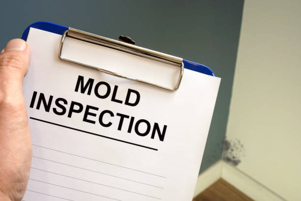 Asbestos and Lead Testing During Mold Inspection